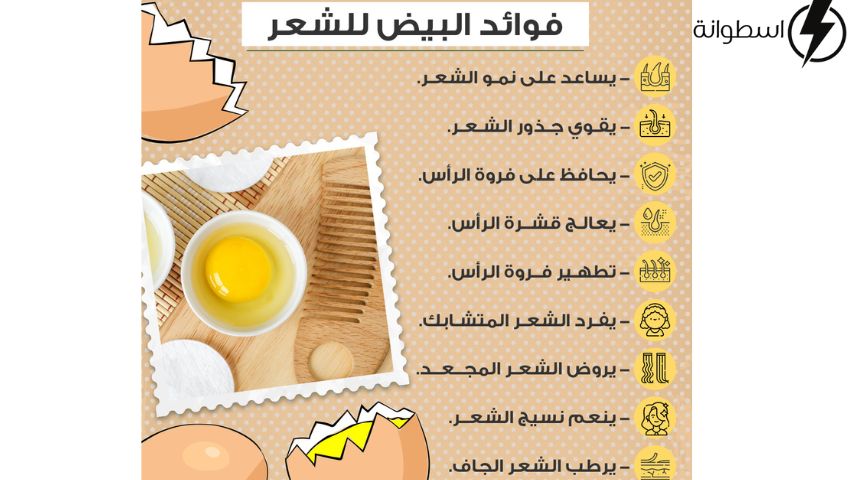 ماسك البيض لعلاج الشعر الجاف