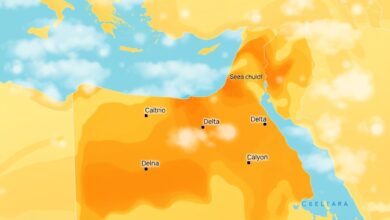 الأرصاد:طقس اليوم الجمعة 26 يونيو 2026 حار ورطب مع شبورة محتملة وارتفاع في درجات الحرارة