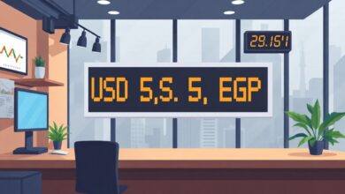 سعر الدولار مقابل الجنيه أمام البنوك المصرية يستقر يوم الأربعاء 24 يونيو 2026