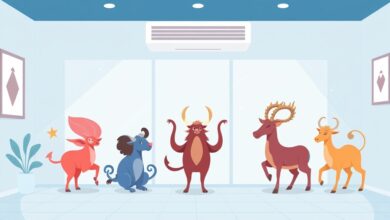 5 أبراج لا تتحمل الحر في الصيف