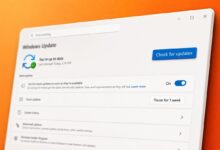 يقترب Windows 11 24H2 من نهاية الدعم للمستخدمين المنزليين والتجاريين في 13 أكتوبر 2026، مع توجيهات للترقية إلى 25H2 أو 26H2 للحفاظ على