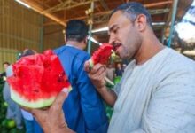 ارتفاع درجات الحرارة يسبب وفرة البطيخ وتراجع الطلب في الأسواق المصرية
