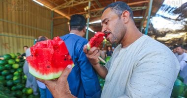 ارتفاع درجات الحرارة يسبب وفرة البطيخ وتراجع الطلب في الأسواق المصرية