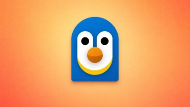 مايكروسوفت تؤكد: لا وجود لـ WSL 3 وتوضح ماهية WSL Containers