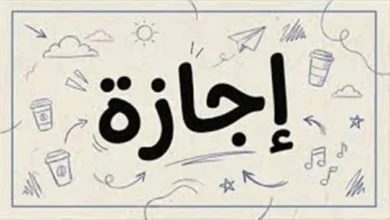 قرار حكومي بإجازة رسمية مدفوعة الأجر في 2 يوليو 2026 بمناسبة ذكرى ثورة 30 يونيو