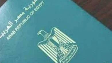 قرارات وزارة الداخلية: إبعاد خارج البلاد وتجنّس 84 مصريًا بجنسيات أخرى مع الاحتفاظ بالجنسية المصرية