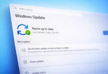 Windows 11 Future Platforms Preview يضيف Screen Tint وتحديثات موحدة وتوسيع خيارات الوصول