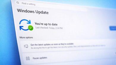 Windows 11 Future Platforms Preview يضيف Screen Tint وتحديثات موحدة وتوسيع خيارات الوصول
