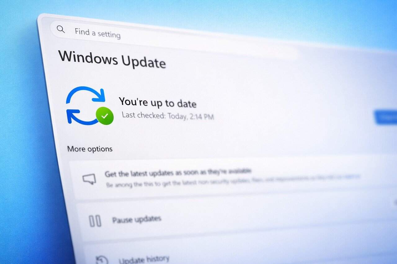 Windows 11 Future Platforms Preview يضيف Screen Tint وتحديثات موحدة وتوسيع خيارات الوصول