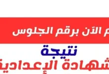 أسوان.. نتيجة الشهادة الإعدادية 2026 بنسبة نجاح 63.9% وتوزيع درجات السنة الثالثة الإعدادى