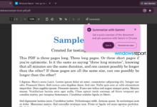 Chrome Beta يضيف زر تلخيص لملفات PDF باستخدام Gemini داخل عارض PDF المدمج