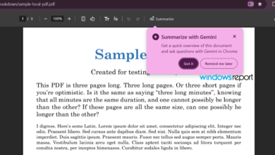 Chrome Beta يضيف زر تلخيص لملفات PDF باستخدام Gemini داخل عارض PDF المدمج