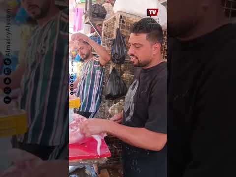تراجع حاد في أسعار الفراخ بكفر الشيخ.. والكيلو بـ65 جنيهًا