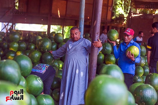 احد بائعى البطيخ