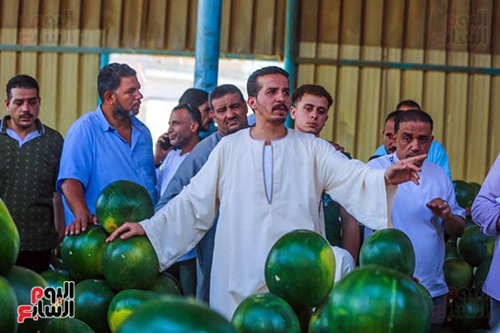 اسعار منخفضة للبطيخ