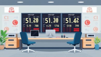استقرار سعر الدولار في البنوك المصرية السبت 25 يوليو 2026 عند مستويات تقارب 51.3 جنيهاً