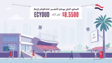 الخطة الاقتصادية والاجتماعية 2026/2027: استثمار 1.712 مليار جنيه لتطوير قطاع الشباب والرياضة وتنفيذ 192 مشروعاً