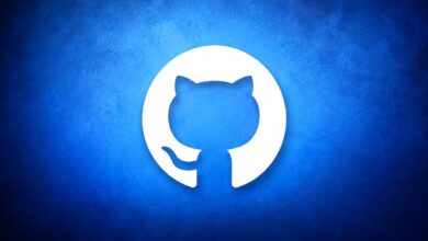 GitHub يطلق برنامج Bug Bounty VIP الخاص بمكافآت ثابتة تصل إلى 30,000 دولار