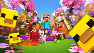 ESA تقرّ بأن خوادم المجتمع في Minecraft غير قانونية خلال جلسة كاليفورنيا حول Stop Killing Games