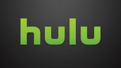 كيفية إصلاح عدم عمل تطبيق Hulu على Windows 10 و11 واستعادة البث