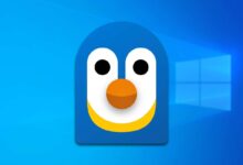 تأكيد وصول دعم حاويات WSL إلى ويندوز 10 يعني إمكانية تشغيل حاويات Linux عبر WSL بدون Docker Desktop، مع ملاحظة أن WSL Containers (WSLc)