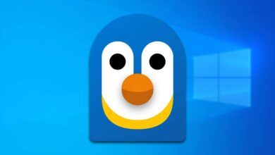 تأكيد وصول دعم حاويات WSL إلى ويندوز 10 يعني إمكانية تشغيل حاويات Linux عبر WSL بدون Docker Desktop، مع ملاحظة أن WSL Containers (WSLc)