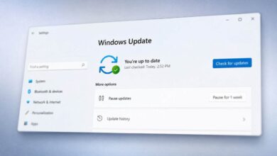 بناء Windows 11 Experimental Future Platforms 29639 يتيح تعليق التحديثات إلى أجل غير محدود