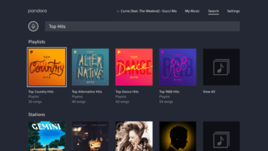 يركّز هذا الدليل على الأسباب الشائعة لمشاكل تشغيل Pandora وكيفية إصلاحها بسرعة على الهواتف الذكية وأجهزة Windows 11 عبر إجراءات بسيطة