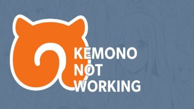 دليل عملي لاستعادة الوصول إلى Kemono عند حدوث أخطاء في التحميل، مع خطوات مساعدة كمسح التخزين المؤقت وتغيير DNS وتعطيل VPN ونصائح عملية