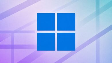 تحديث Windows 11 KB5101684 يصحّح تاريخ الملفات وتطبيقات Office ويحسّن أداء النظام