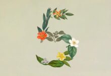 أنثروبيك تطلق Claude Sonnet 5 كخيار افتراضي جديد لسلسلة Claude