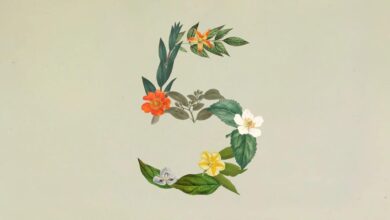 أنثروبيك تطلق Claude Sonnet 5 كخيار افتراضي جديد لسلسلة Claude