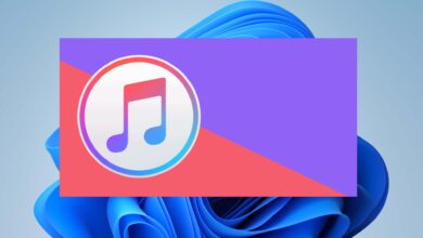 أفضل بدائل لـ iTunes لنظام Windows 11/10: إدارة الوسائط ونقلها بفعالية