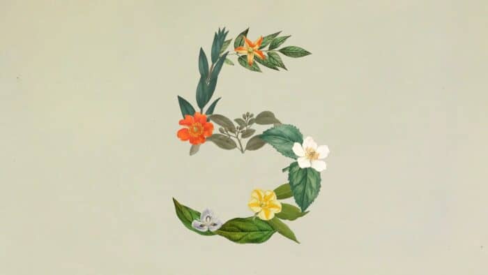 claude sonnet 5