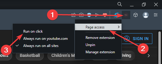 browser with flash