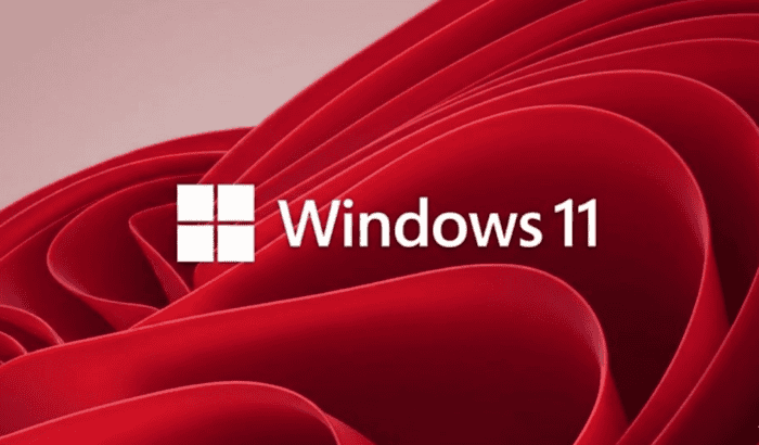 Windows 11 bug (2)